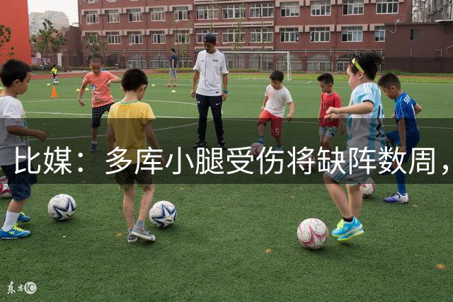 比媒：多库小腿受伤将缺阵数周，曼城担心是世界杯后遗症